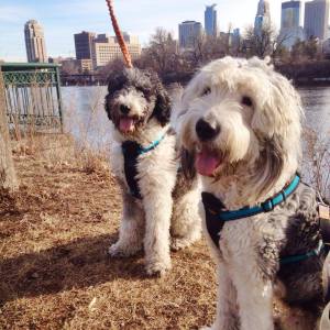 10987331_362001280671667_1337747347004338770_n