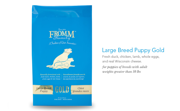 large-breed-puppy-gold